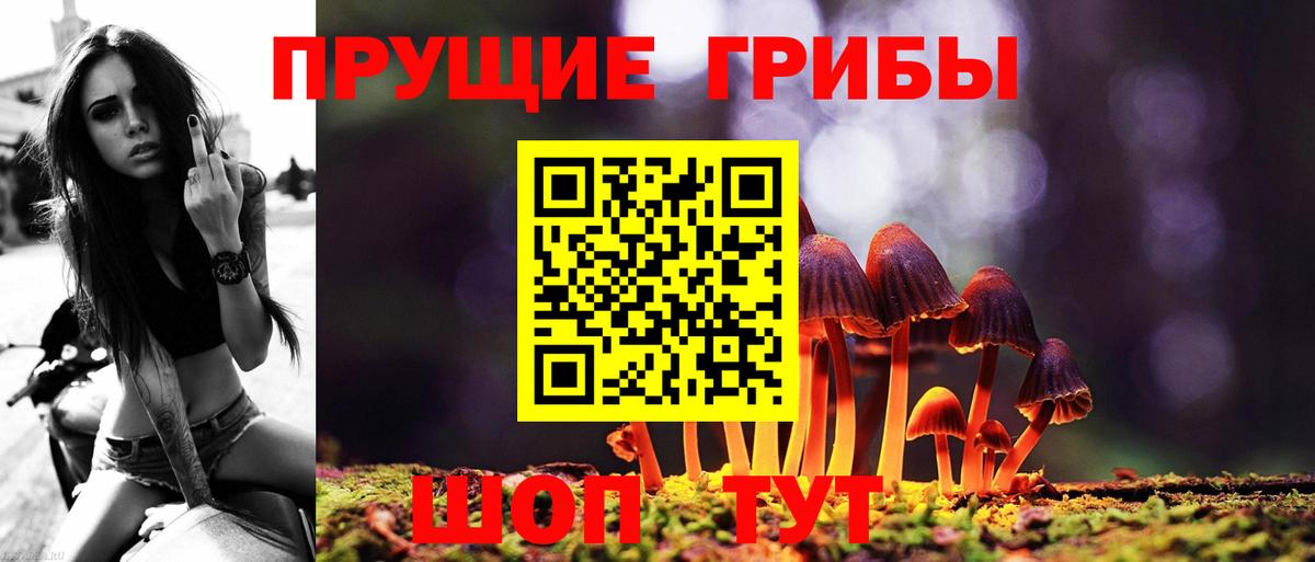 Псилоцибиновые грибы MAGIC MUSHROOMS Котлас