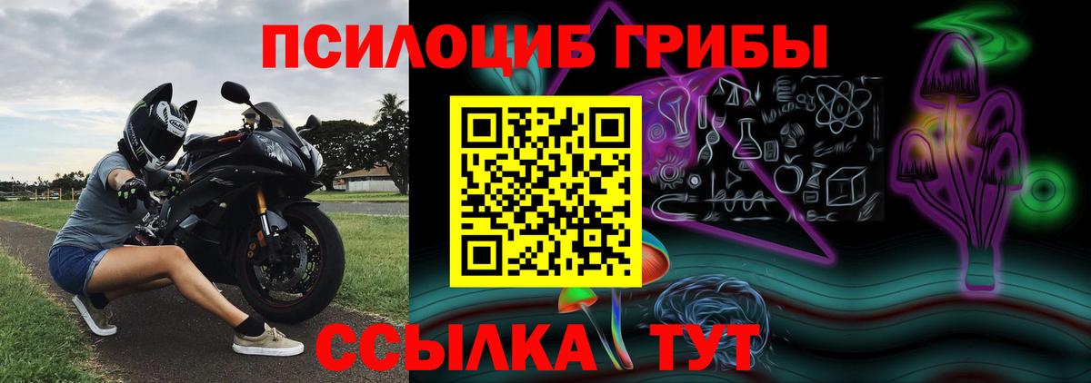 Галлюциногенные грибы Psilocybine cubensis  Псилоцибиновые грибы Magic Shrooms  Котлас  Вход с VPN 