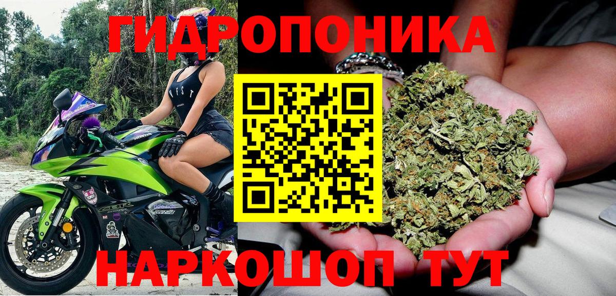 Конопля планчик  Вход с VPN  Марихуана семена  Бошки Шишки OG Kush  Котлас  Бошки Шишки OG Kush 