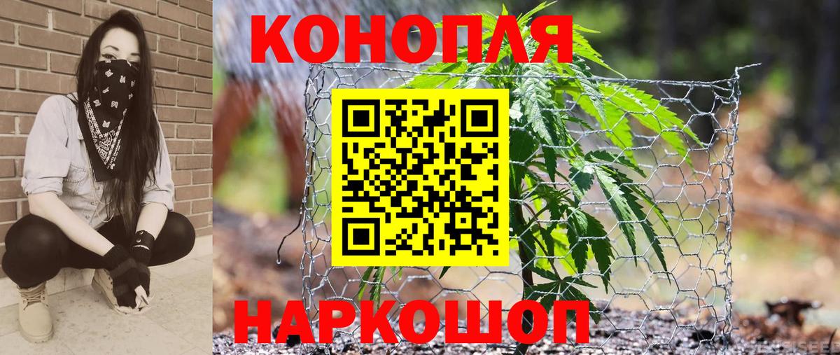 Бошки марихуана Amnesia Котлас